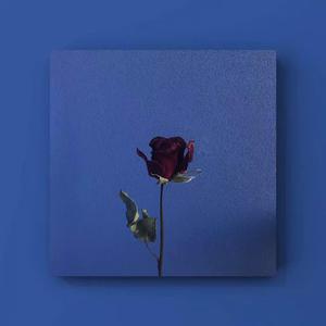 娇软继女非要当狗笔趣阁在线阅读
