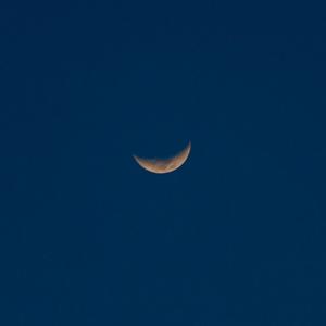 娇软继女非要当狗笔趣阁在线阅读
